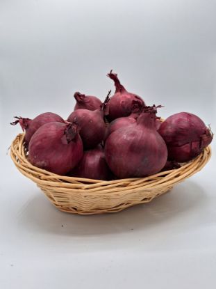 Bild von  Zwiebel rot per kg