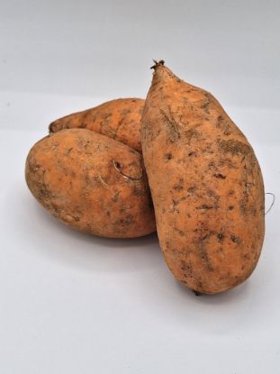 Bild von  Süßkartoffeln per kg 