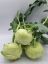 Picture of Bio Kohlrabi  per Stk.
