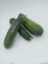 Bild von  Zucchini per kg 
