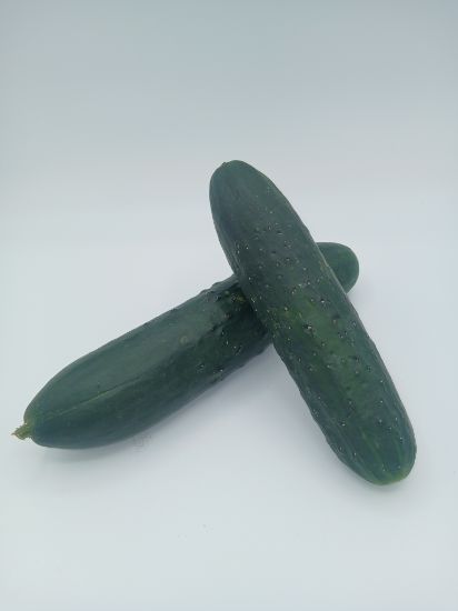 Bild von  Gurken per kg