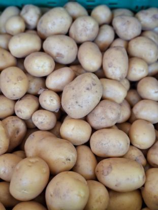 Zeige Details für Frühkartoffel 1kg Bild von Frühkartoffel 1kg