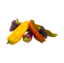 Picture of Bio Spitzpaprika bunt per kg