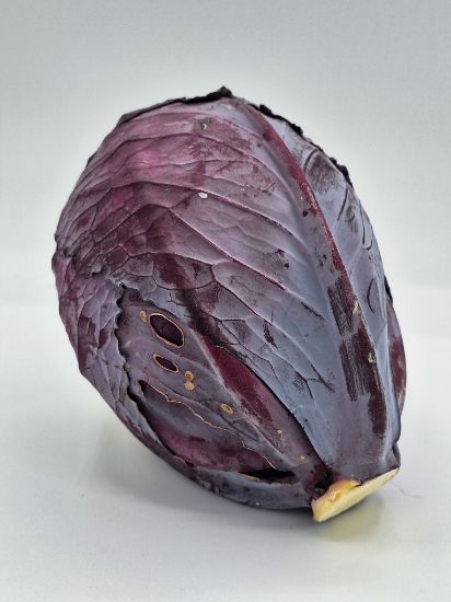 Bild von Weißkraut per kg 