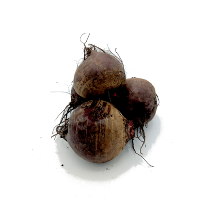 Bild von BIO - Rote Rüben per kg 