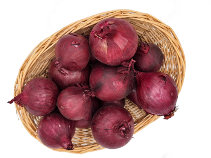 Bild von BIO -  Zwiebel rot per kg