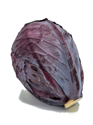 Bild von BIO - Rotkraut per kg 