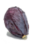 Bild von BIO - Rotkraut per kg 