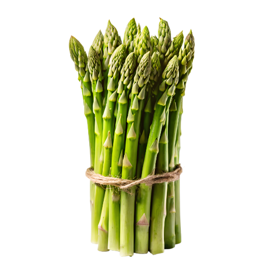 Bild von BIO -  Spargel 400g  