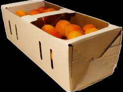 Bild von BIO - Marillen per kg 