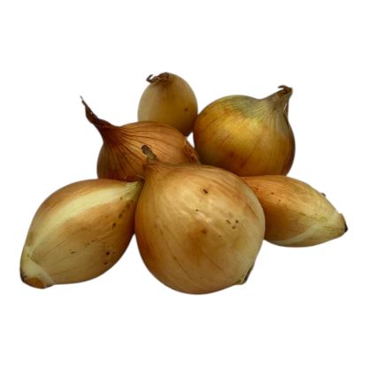 Bild von BIO - Zwiebel per kg