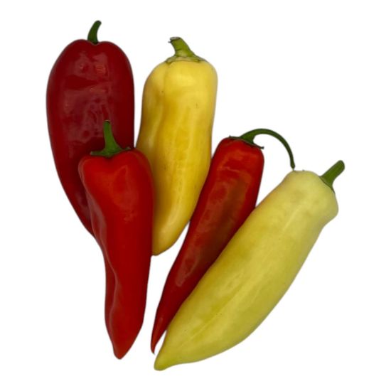 Picture of BIO - Paprika bunt per Stk  