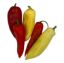 Picture of BIO - Paprika bunt per Stk  
