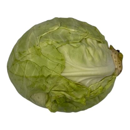 Bild von BIO - Weißkraut per kg 