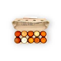 Bild von BIO - Eier 10er Schachtel