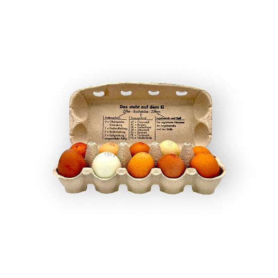 Bild von BIO - Eier 10er Schachtel